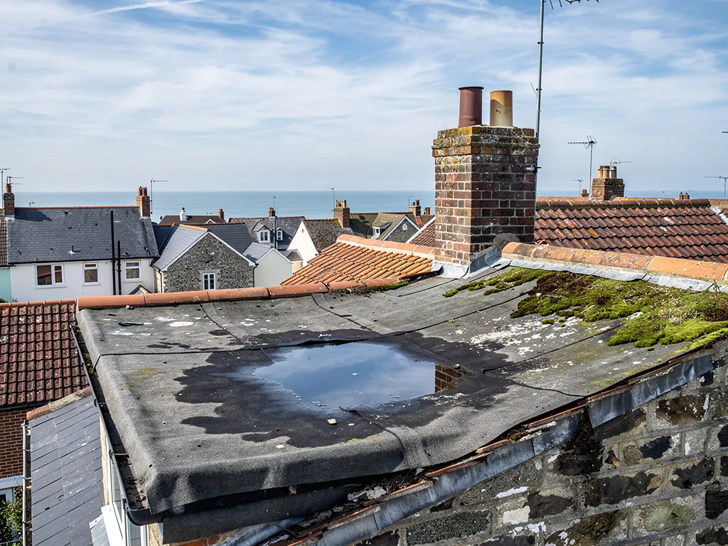 An old felt flat roof with standing water and moss