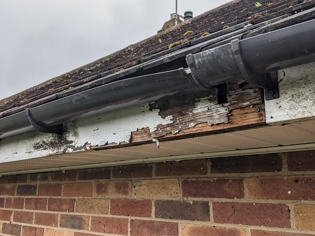 A rotten timber fascia behind a sagging gutter